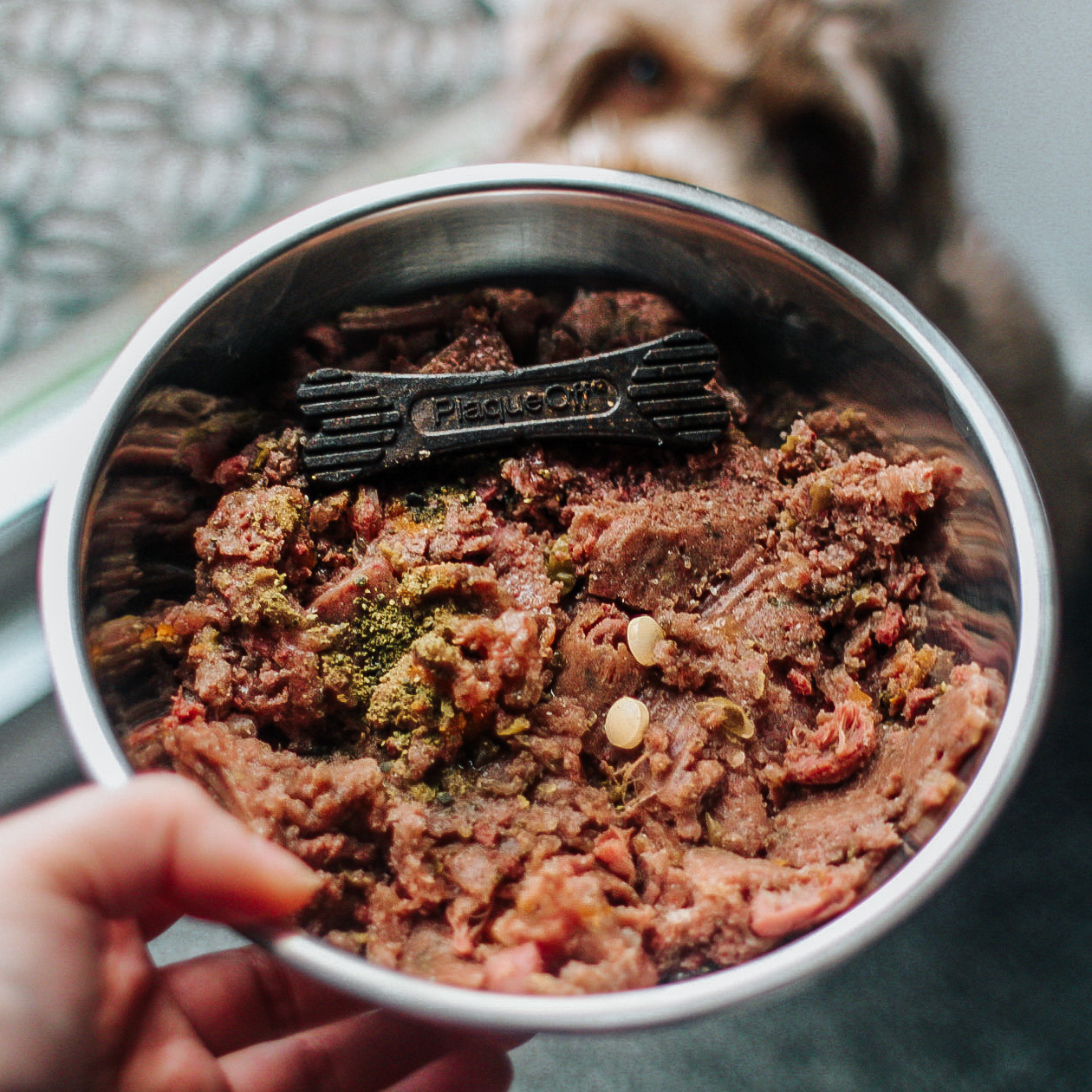 <b>ARE DOG FOOD TOPPERS WORTH IT?</b><br><br>The most popular food toppers and whether you need to add them if you’re feeding a raw diet…</br>